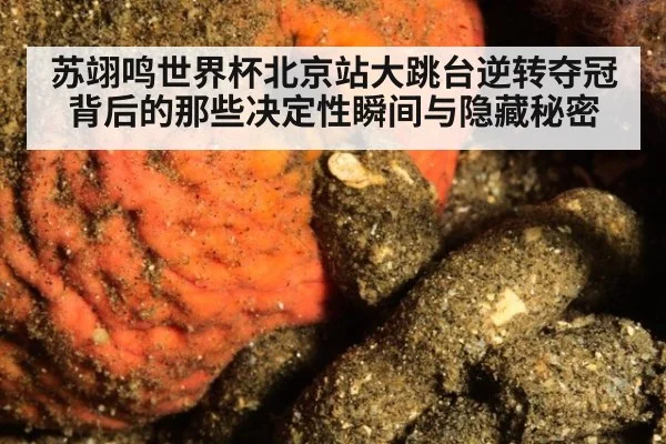 苏翊鸣世界杯北京站大跳台逆转夺冠背后的那些决定性瞬间与隐藏秘密