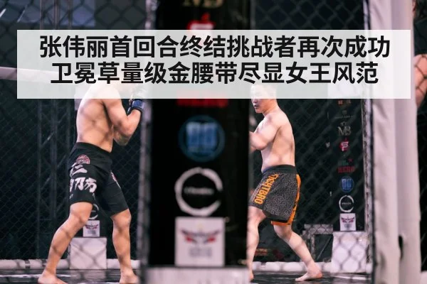 MMA cage fight action