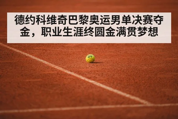 德约科维奇巴黎奥运男单决赛夺金,职业生涯终圆金满贯梦想