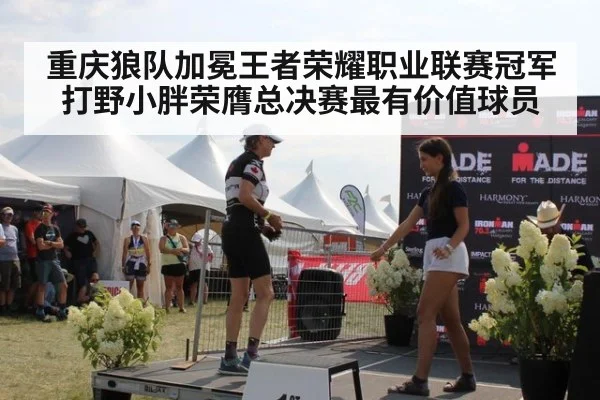 重庆狼队加冕王者荣耀职业联赛冠军 打野小胖荣膺总决赛最有价值球员